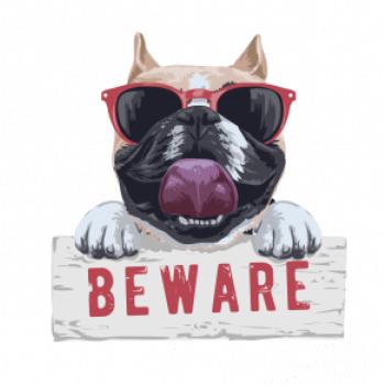 Pug - beware Pug - beware