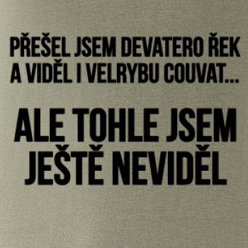 Viděl jsem velrybu couvat