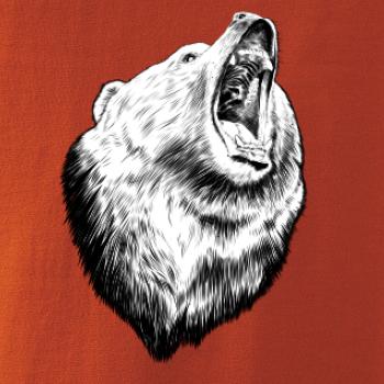 Medvěd trošku naštvaný