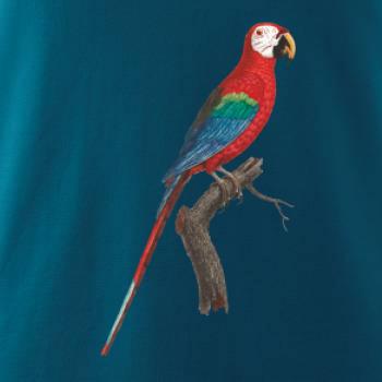 Papoušek červený na větvi