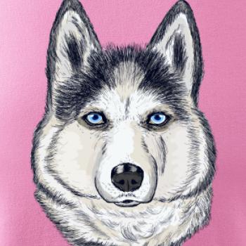 Husky hlava - kreslený