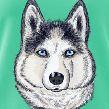 Husky hlava - kreslený