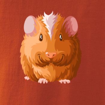 Morče - kreslené zepředu