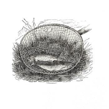 Parádní úlovek