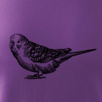 Tužkou kreslený Papoušek