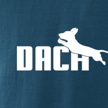 Jezevčík Dach Jezevčík Dach