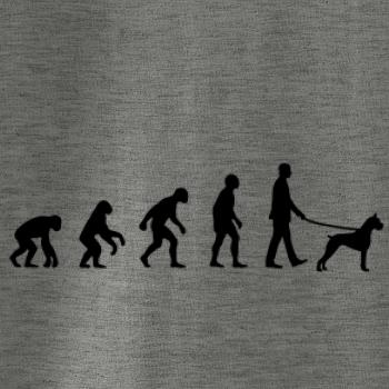 Evoluce pes boxer (muž-žena)