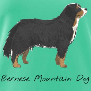 Bernese mountain dog kreslený