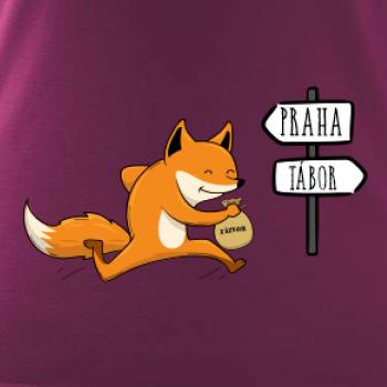 Běží liška k táboru