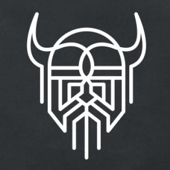 Viking logo Viking logo
