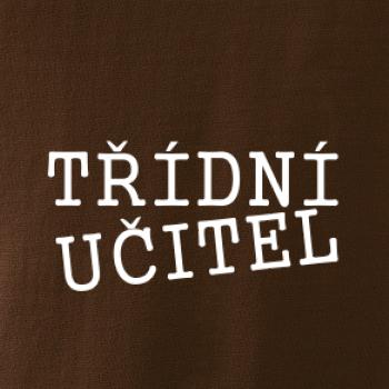 Třídní učitel