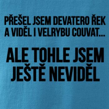 Viděl jsem velrybu couvat