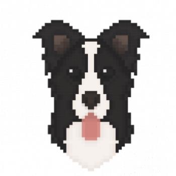 Border kolie Pixel Border kolie Pixel
