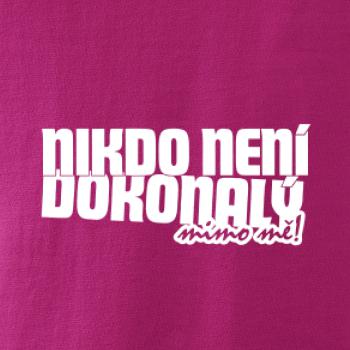 Nikdo není dokonalý mimo mě