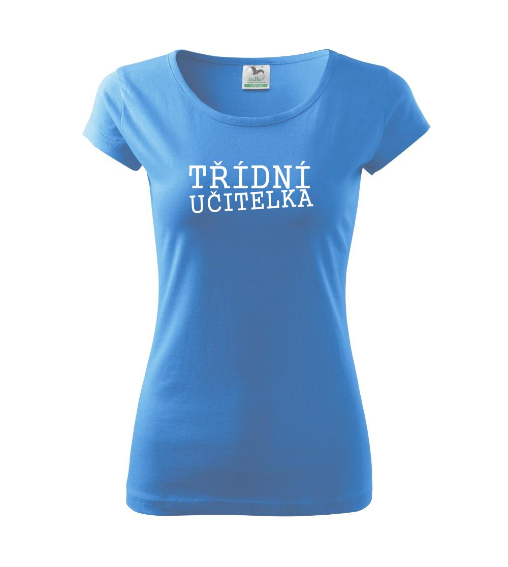 Třídní učitelka Třídní učitelka