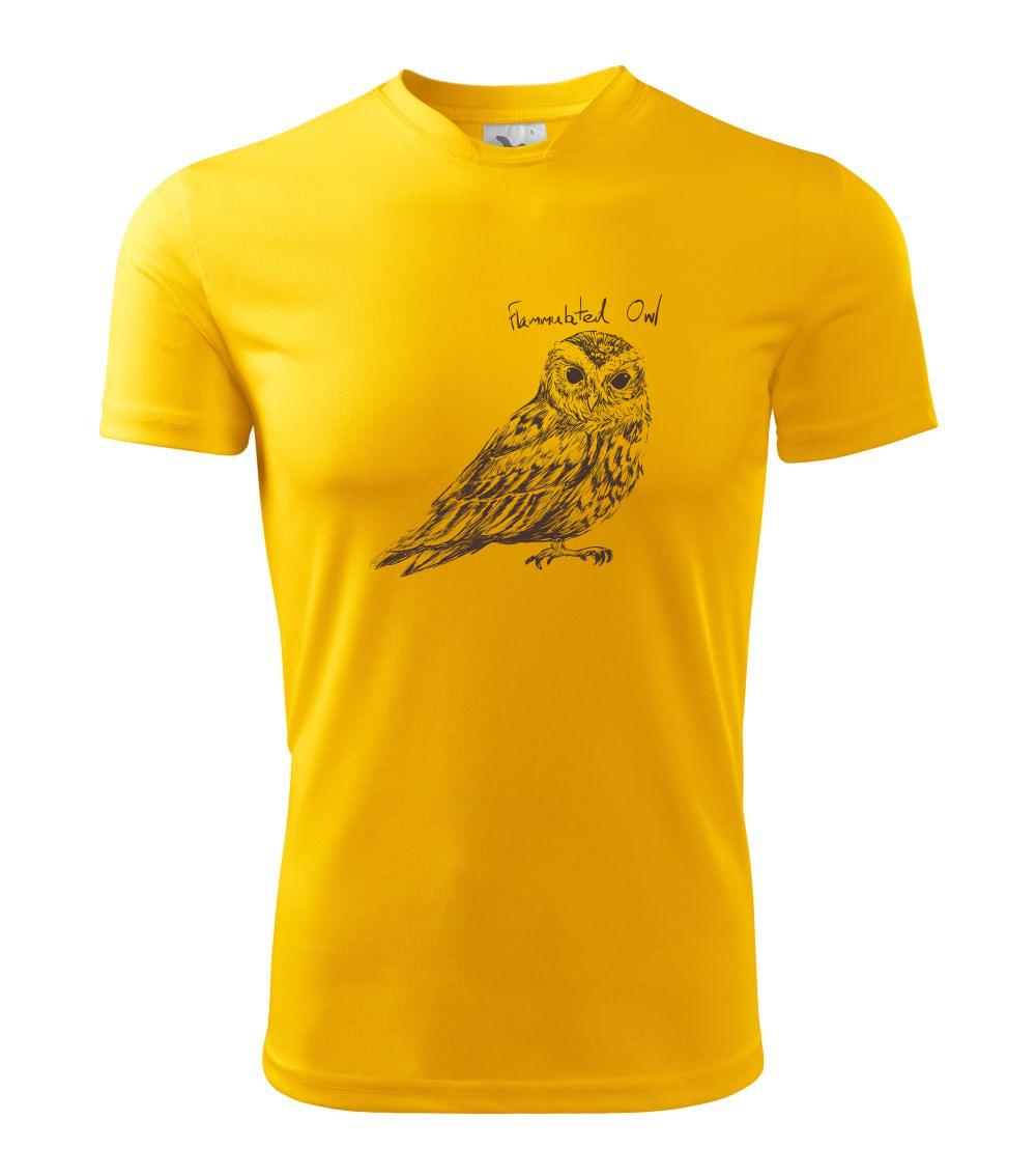 Výreček plaménkový flammulated owl