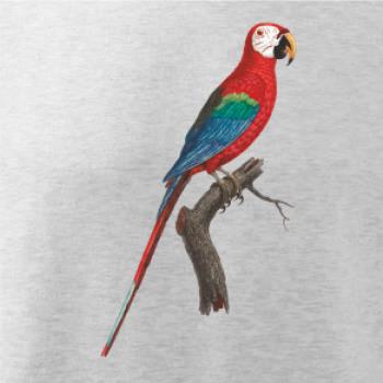 Papoušek červený na větvi