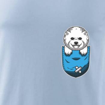 Bišonek v kapsičce