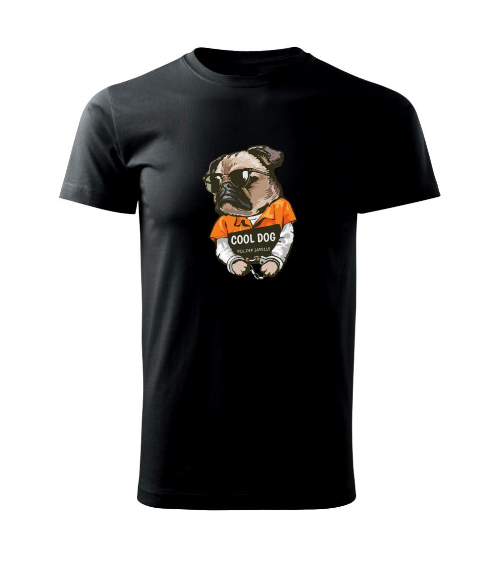 Mops výtržník Mops výtržník