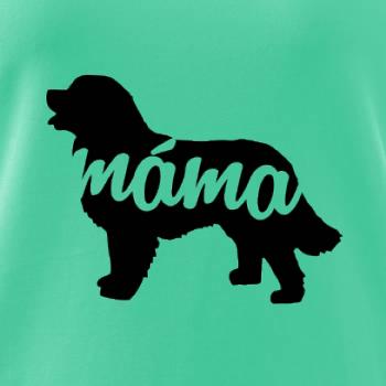 Bernský salašnický pes máma obrys