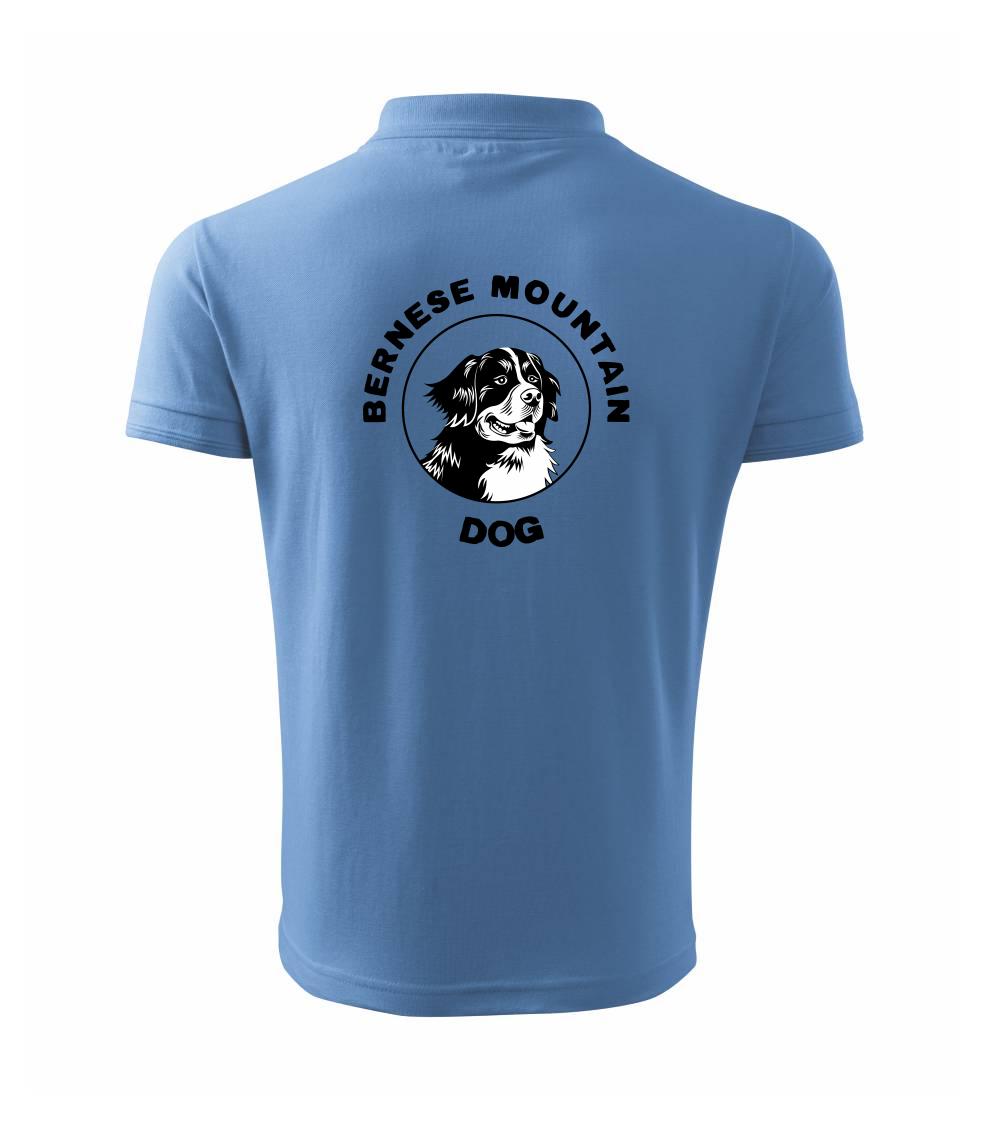 Bernese mountain dog v kruhu