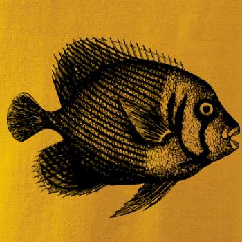 Mořská ryba kreslená