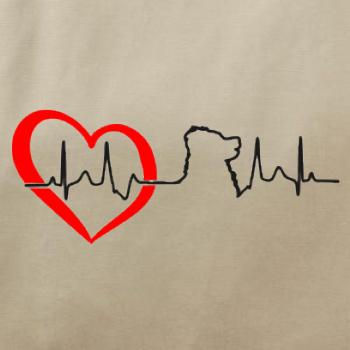 Bernský salašnický pes EKG