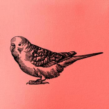 Tužkou kreslený Papoušek