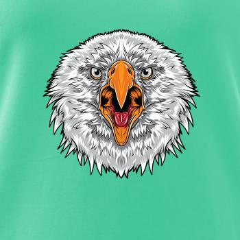 Hlava rozzlobeného orla