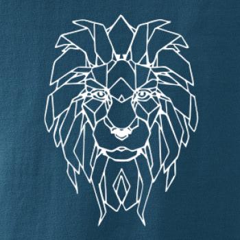 Geometrie - lev tvář