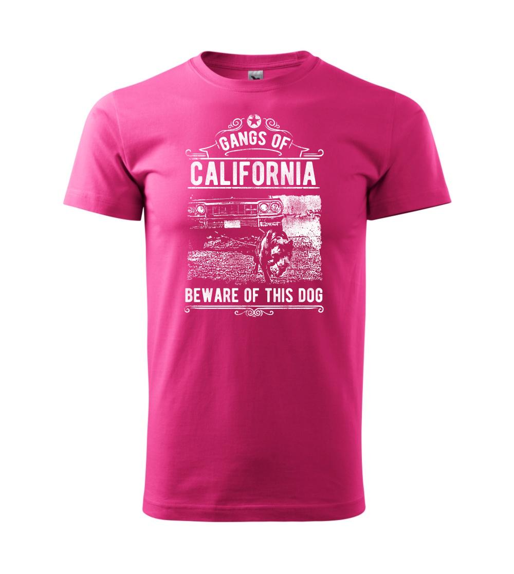Gangs Of California Gangs Of California