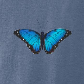 Motyl babočka Morpho Peleides