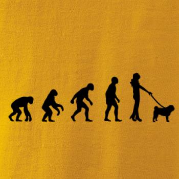 Evoluce pes Mops (muž-žena)