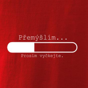 Přemýšlím Přemýšlím