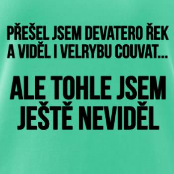 Viděl jsem velrybu couvat