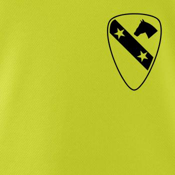 1st Cavalry Division hvězdy prsa