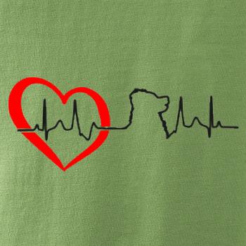 Bernský salašnický pes EKG