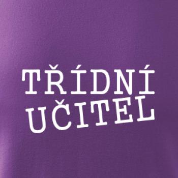 Třídní učitel