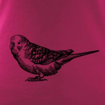 Tužkou kreslený Papoušek