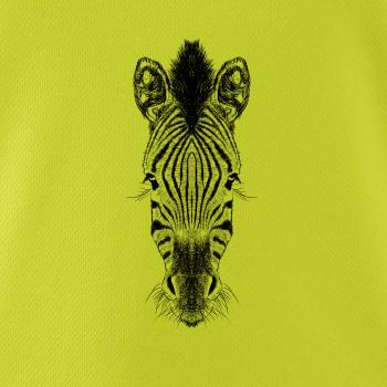 Zebra kresba