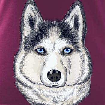 Husky hlava - kreslený