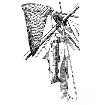 Kreslený podběrák a chycená ryba