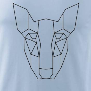 Americký Pit Bull Teriér - Geometrie