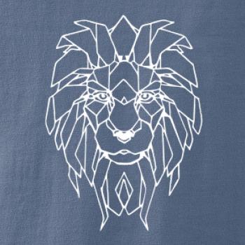 Geometrie - lev tvář