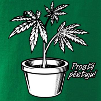 Konopi prostě pěstuju Konopi prostě pěstuju