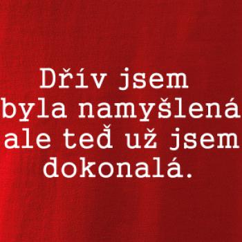 Jsem dokonalá