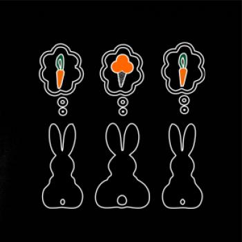 Králici přemýšlí, co by sežrali