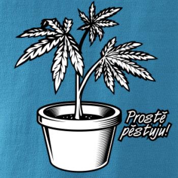 Konopi prostě pěstuju Konopi prostě pěstuju