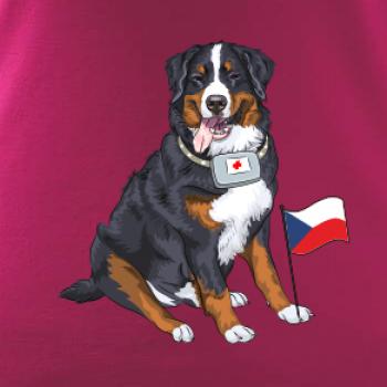 Pes záchranář bernský salašnický