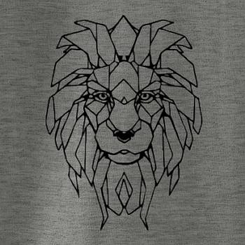 Geometrie - lev tvář